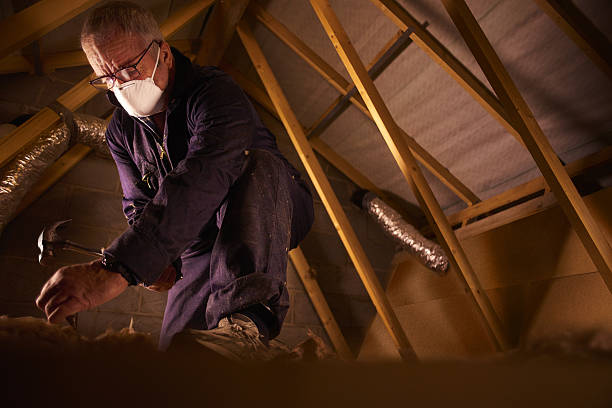 Best Spray Foam Insulation in Doney Park, AZ